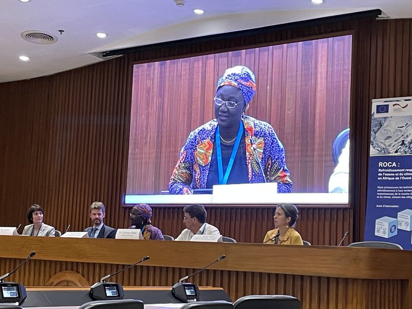 [Translate to French:] The photo shows Sokhna Fall big on a screen. She sits in front of the screen with four other panelists of the OEWG side event.
