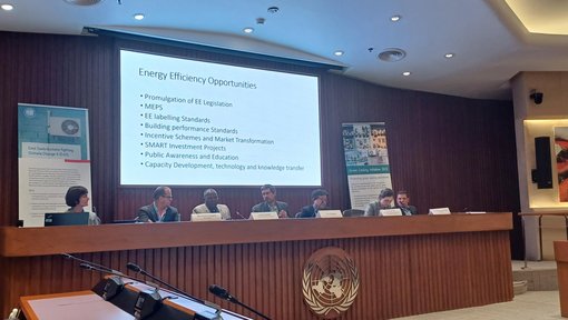 The picture shows the panelist and a presentation slide that says: "Energy Efficiency Opportunities. Promulgation of ee legislation. Minimum energy performance standards. ee labelling standards. Building performance standards. Incentive schemes and market transformation. SMART investment projects. Public awareness and education. Capacity development, technology and knowledge transfer. (opens enlarged image)